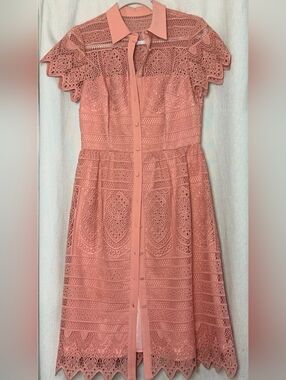 ANTONIO MELANI Dusty Rose Eyelet Lace Button-down Dress, Lined, Lace Sleeve. Sz4